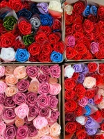 گل تک شاخه روبانی