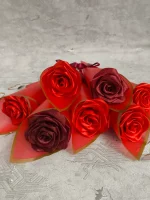 گل قرمز تک شاخه